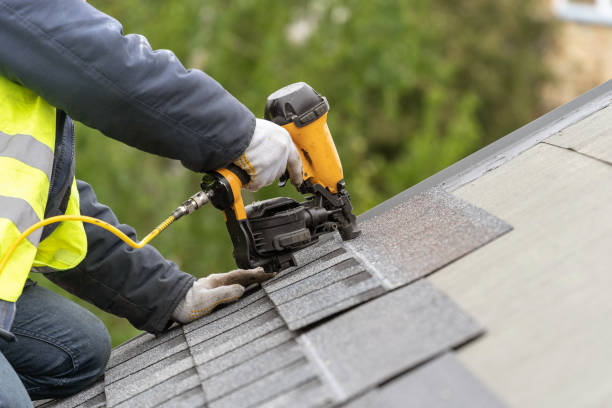 Best Skylight Installation and Repair  in Bartow, FL