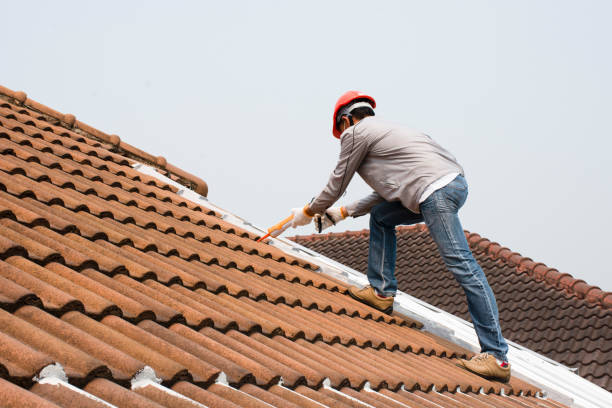 Best Gutter Replacement  in Bartow, FL